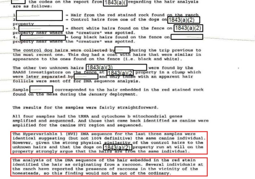 BAASS email on the hair analysis listing four samples and the results. Red outlines mark the paragraph saying the last three samples were identical and the dogs on the property run at will, and the paragraph saying the rock hair was raccoon.